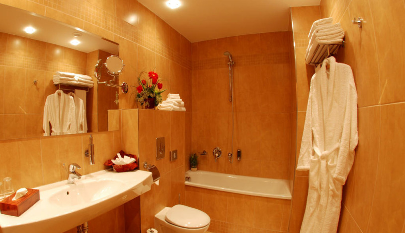 Hotel Sonata Praha - Double room, Triple room