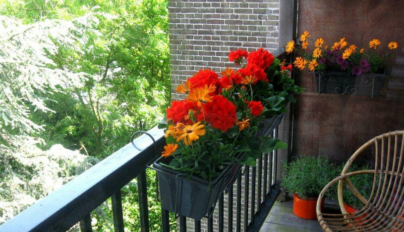 Apartment Spaarndammerstraat Amsterdam