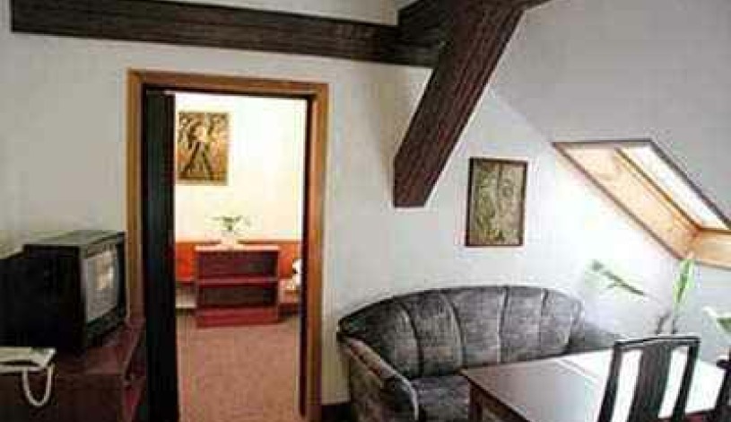 Hotel Standard Praha - Pokoj 2-osobowy dla 1 osoby, Pokój 2-osobowy