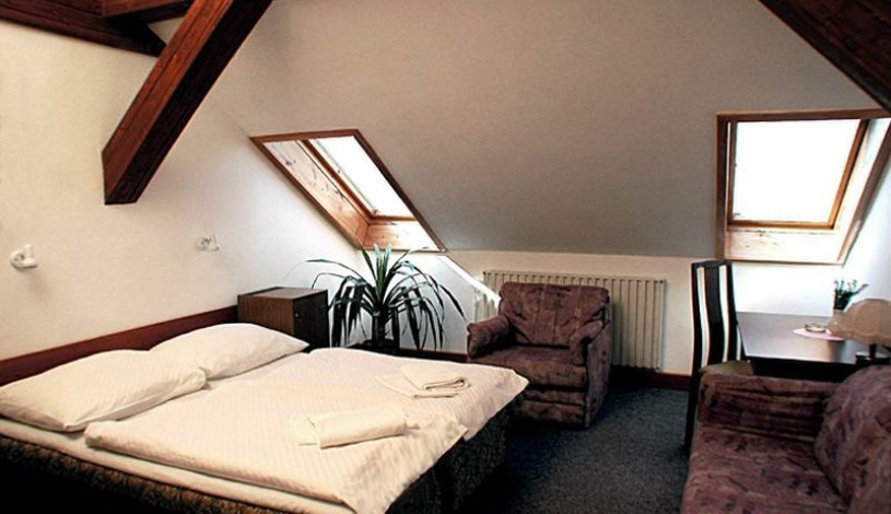 Hotel a Residence ROYAL STANDARD Praha - Apartament (2 osoby)