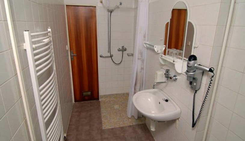 Hotel a Residence ROYAL STANDARD Praha - Apartament (2 osoby), Apartament (3 osoby)
