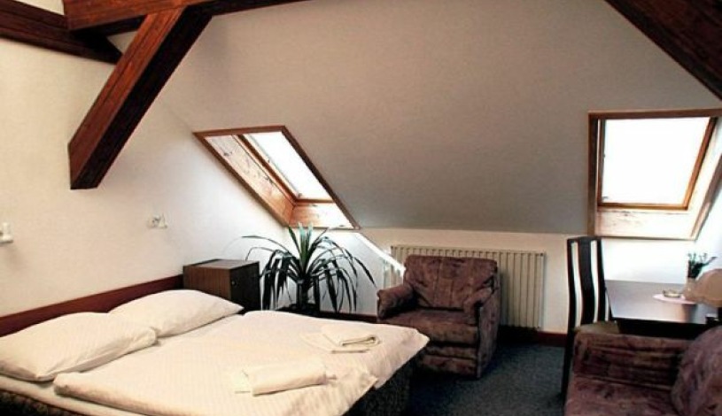Hotel a Residence ROYAL STANDARD Praha - Apartament (2 osoby)