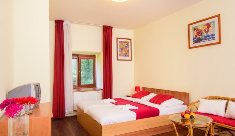 HOTEL STARÝ PIVOVAR Praha - Double room, Family room