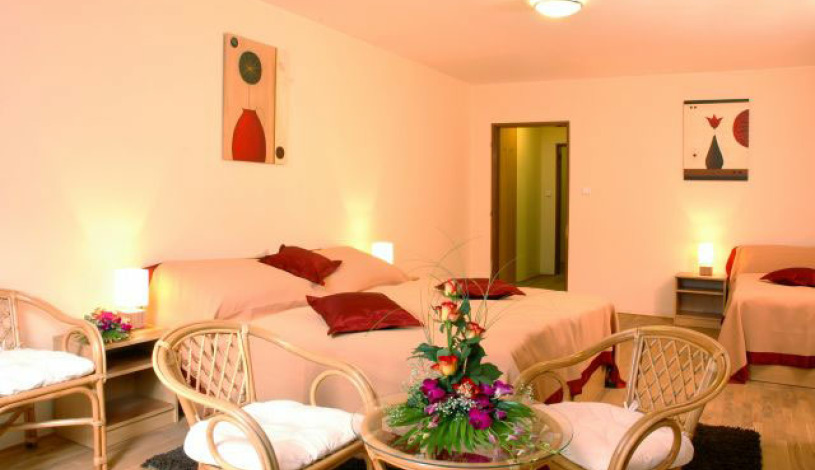 HOTEL STARÝ PIVOVAR Praha - Single room, Double room, Triple room, Four bedded room, Family room