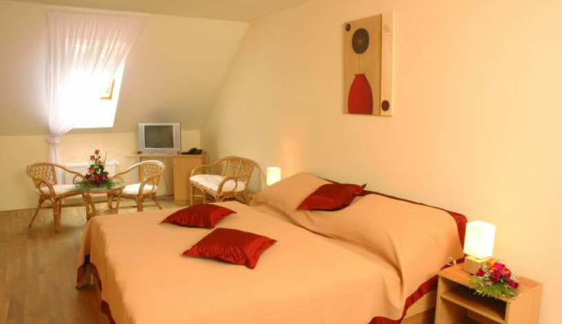 HOTEL STARÝ PIVOVAR Praha - Single room, Double room, Triple room, Family room