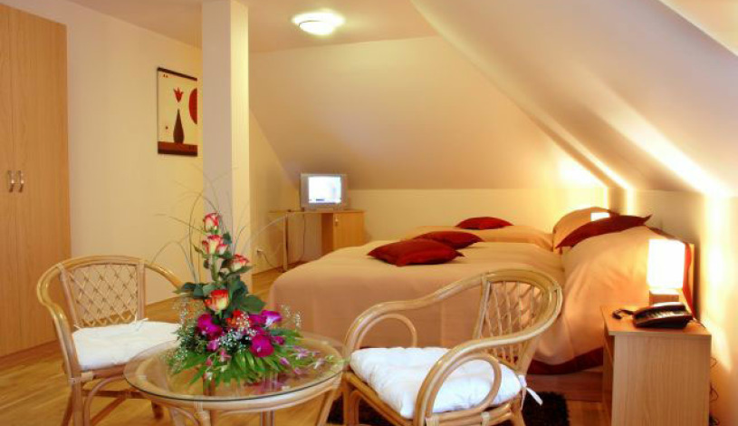 HOTEL STARÝ PIVOVAR Praha - Single room, Double room, Triple room, Four bedded room, Family room