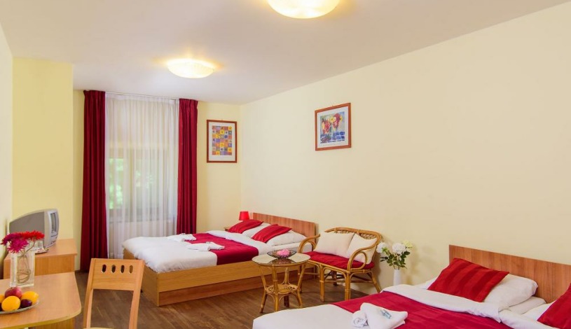 HOTEL STARÝ PIVOVAR Praha - 2 Lůžkový/TWIN, Double room, Triple room, Four bedded room, Family room