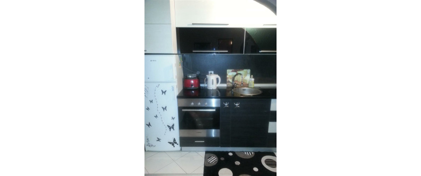 Apartment Stevana Sremca Beograd - Apt 31199