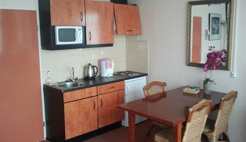 Apartment Steynlaan Utrecht - Apt 24588