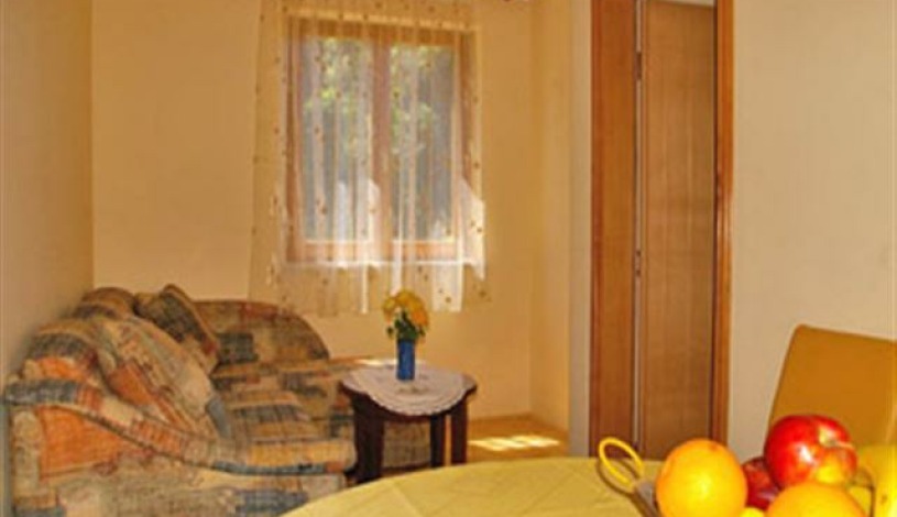 Apartment Stikovica Dubrovnik - Apt 17794