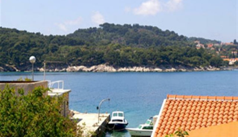 Apartment Stikovica Dubrovnik - Apt 17794