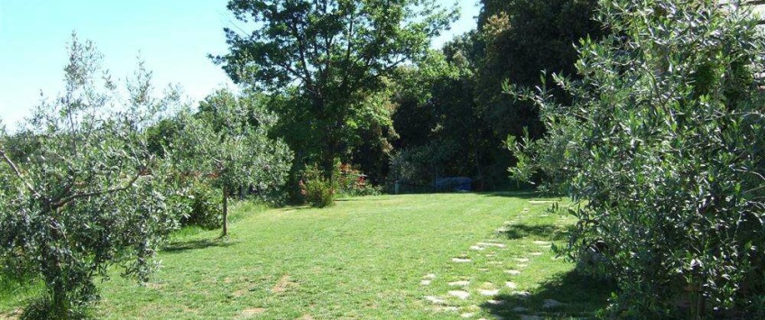 Apartment Strada di Crevole Toscana - Apt 27324