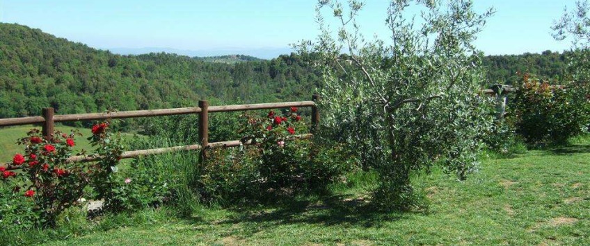 Apartment Strada di Crevole Toscana - Apt 27324