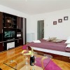 Studio Apartmá București Sector 1, Bucharest s kuchyní pro 3 osoby