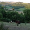 Studio Apartment Perugia Ramazzano - Le Pulci with kitchen for 3 persons