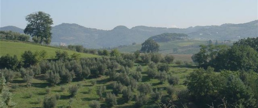 Apartment Strada Palazzetta Perugia - Apt 26710