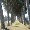 2-bedroom Apartment Perugia Ramazzano - Le Pulci with kitchen for 7 persons