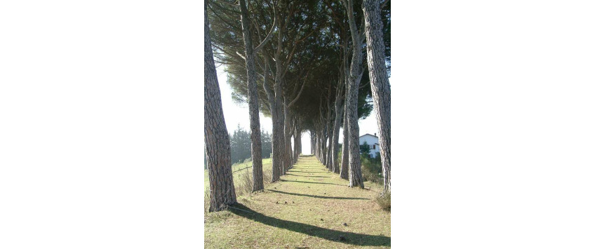 Apartment Strada Palazzetta Perugia - Apt 26710