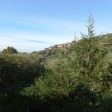 Apartment Strada Provinciale 15 Sardinia - Apt 35397