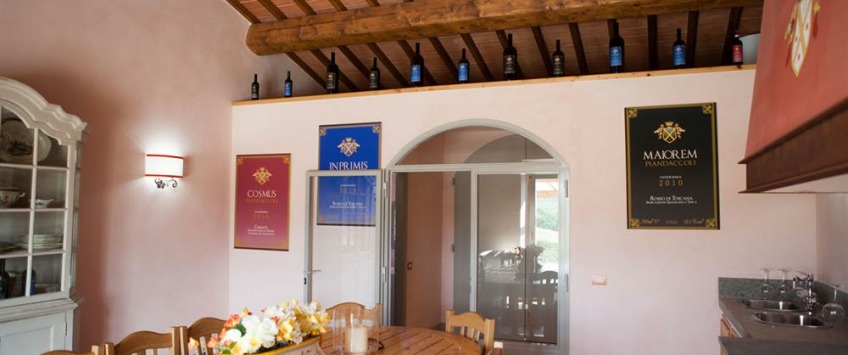 Apartment Strada Provinciale Val di Pesa Toscana - Apt 27470