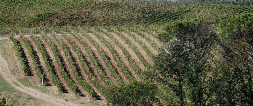 Apartment Strada Provinciale Val di Pesa Toscana - Apt 27470