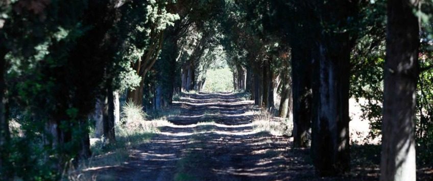 Apartment Strada Provinciale Val di Pesa Toscana - Apt 27473