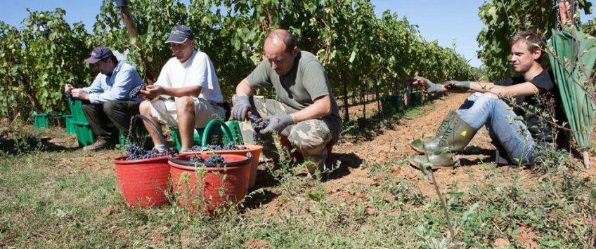 Apartment Strada Provinciale Val di Pesa Toscana - Apt 27473