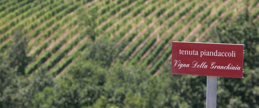 Apartment Strada Provinciale Val di Pesa Toscana - Apt 27475