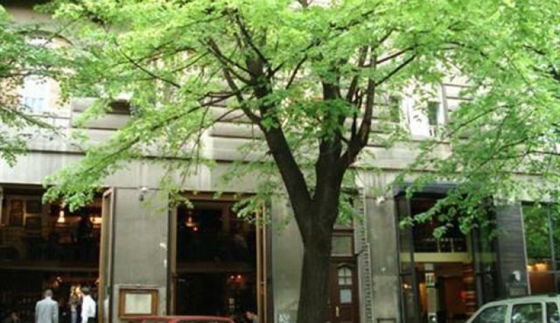 Apartment Strahinjića Bana Beograd - Apt 21678