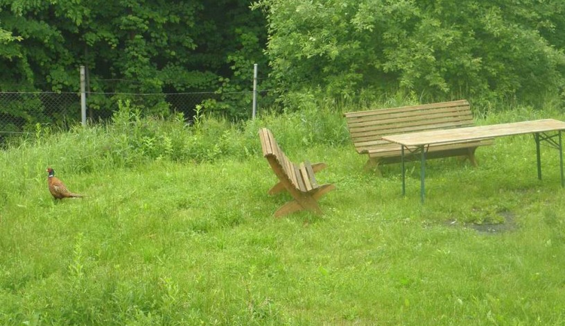 Rezidence Slezská Ostrava