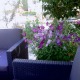 Apt 38171 - Apartment Supetarska Draga Rab