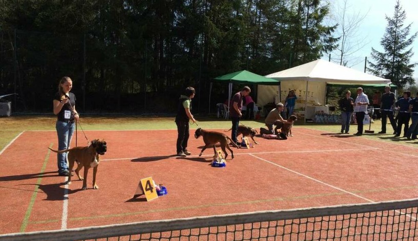 Hotel Schindlerův háj Svitavy