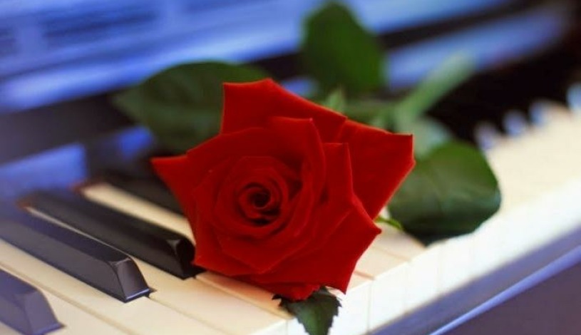 Hotel Schindlerův háj Svitavy