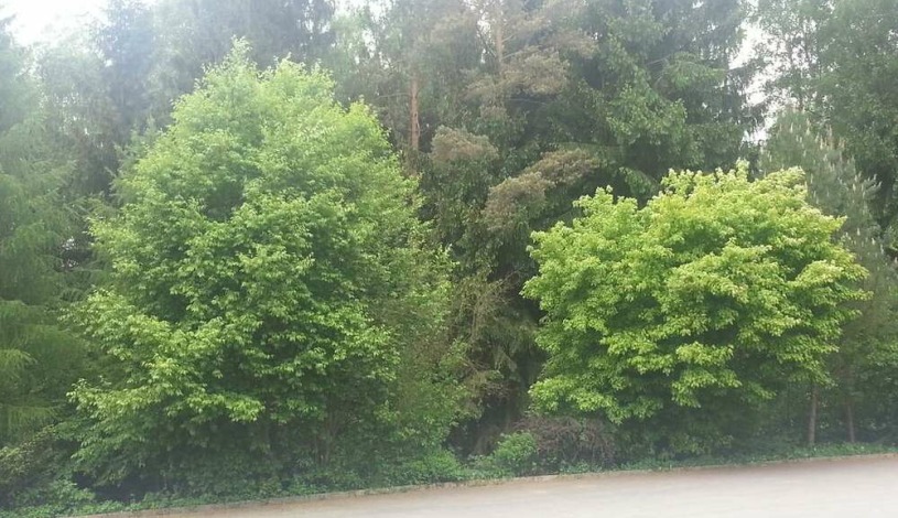 Hotel Schindlerův háj Svitavy