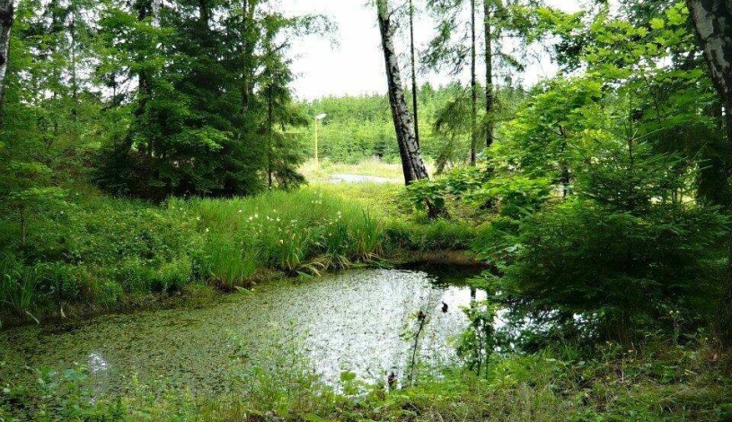Hotel Schindlerův háj Svitavy