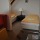 Hotel Svornost Praha - Dvoulůžkový pokoj s oddělenými postelemi