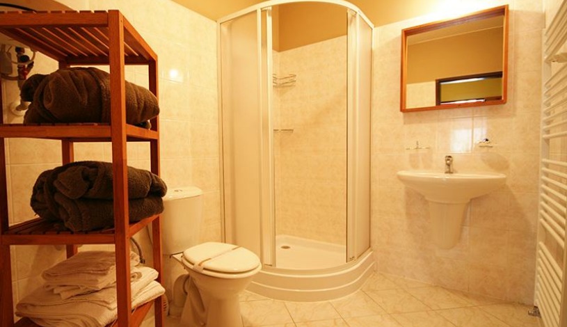 Hotel Swisshouse Apartments & Spa Mariánské Lázně - Apartmán