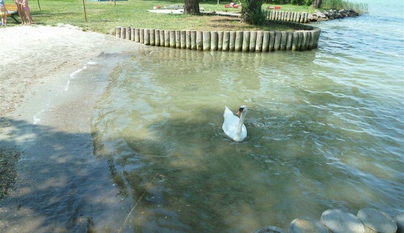 Apartment Széchenyi utca Balatonszárszó - Apt 38025