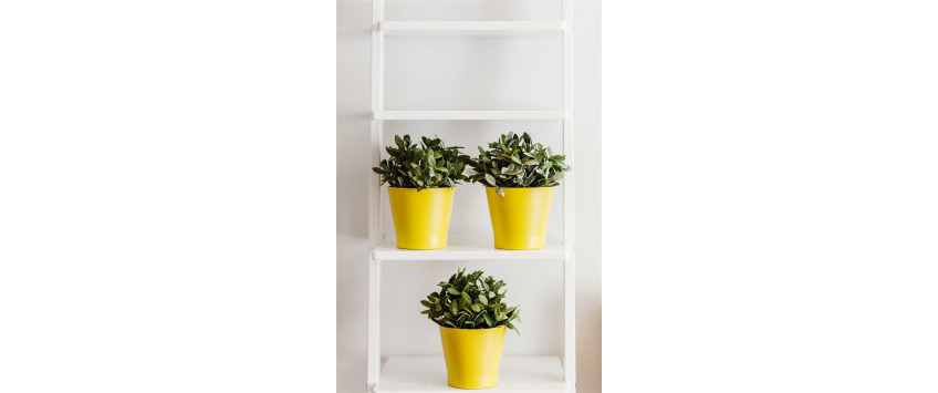 Apartment Tara St Dublin - Apt 48228