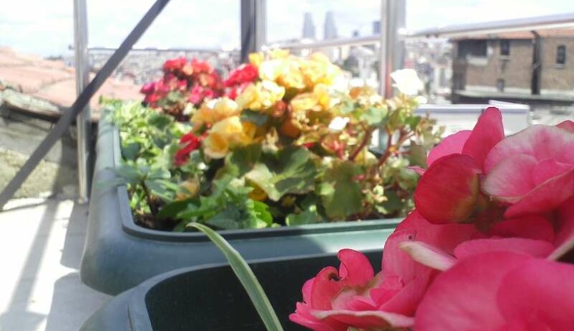 Apartment Tekir Sk Istanbul - Apt 24326