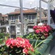 Apt 24326 - Apartment Tekir Sk Istanbul