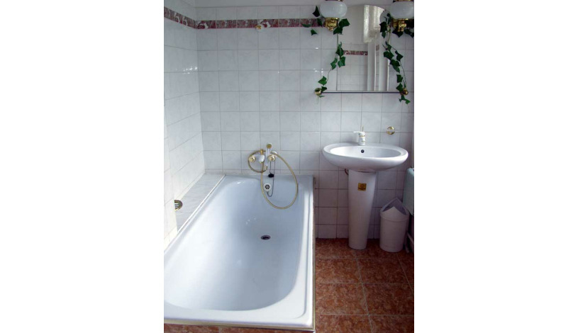 GREEN HOUSE Teplice - Jednolůžkový pokoj, Dvoulůžkový pokoj, Apartmán pro 4 osoby