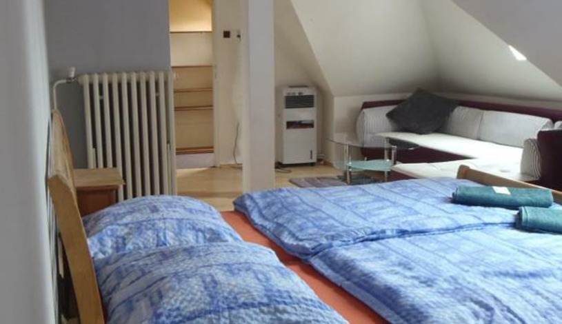 GREEN HOUSE Teplice - Jednolůžkový pokoj, Apartmán pro 4 osoby