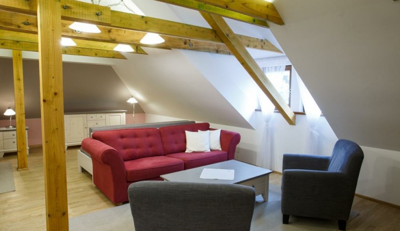 Vila Terra Luhačovice - Apartmán v podkroví s kuchyňkou