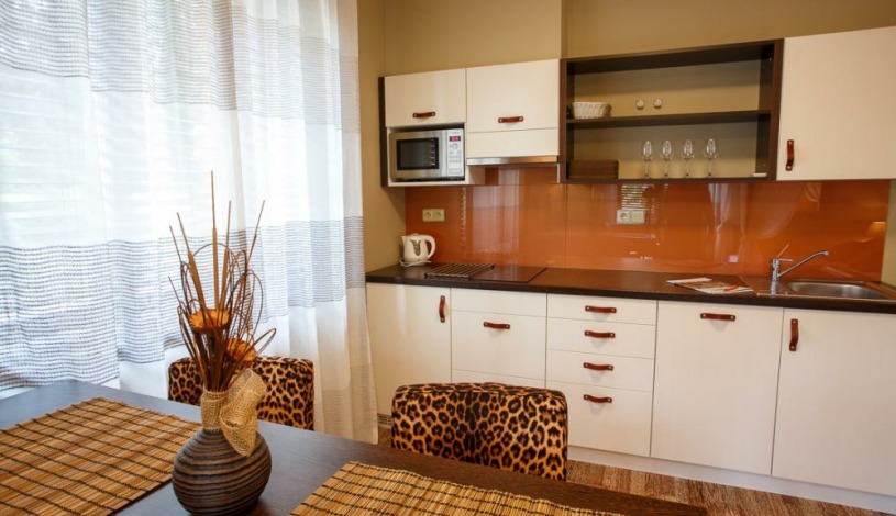 Vila Terra Luhačovice - Jednopokojový apartmán s kuchyňkou