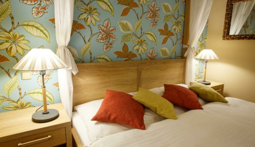 Vila Terra Luhačovice - Jednopokojový apartmán s kuchyňkou