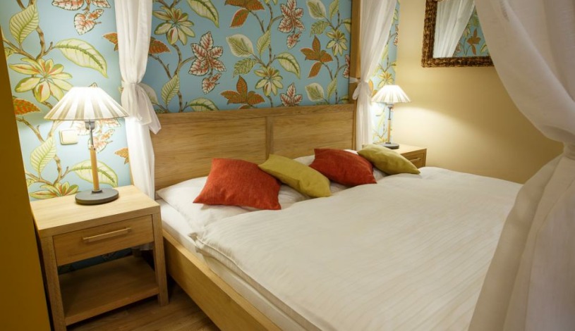 Vila Terra Luhačovice - Jednopokojový apartmán s kuchyňkou