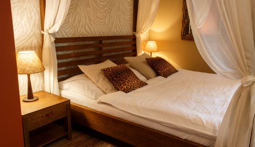 Vila Terra Luhačovice - Jednopokojový apartmán s kuchyňkou