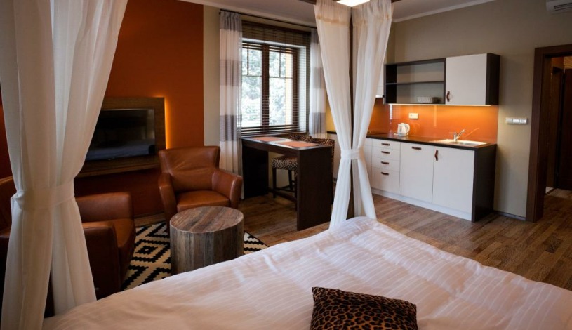 Vila Terra Luhačovice - Jednopokojový apartmán s kuchyňkou