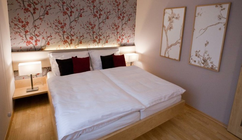 Vila Terra Luhačovice - Jednopokojový apartmán s kuchyňkou